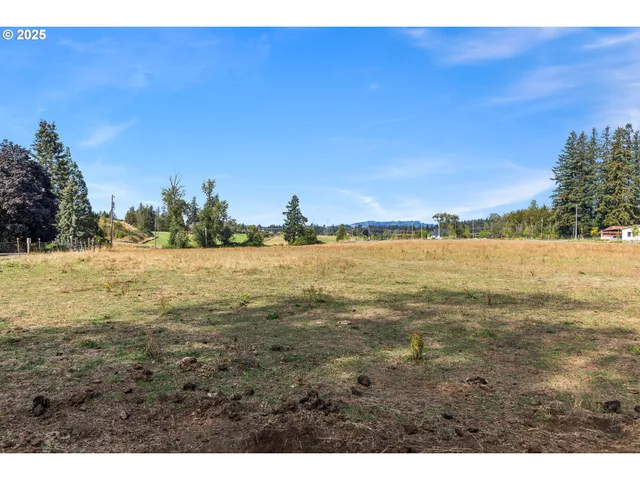 a view of a yard with large trees