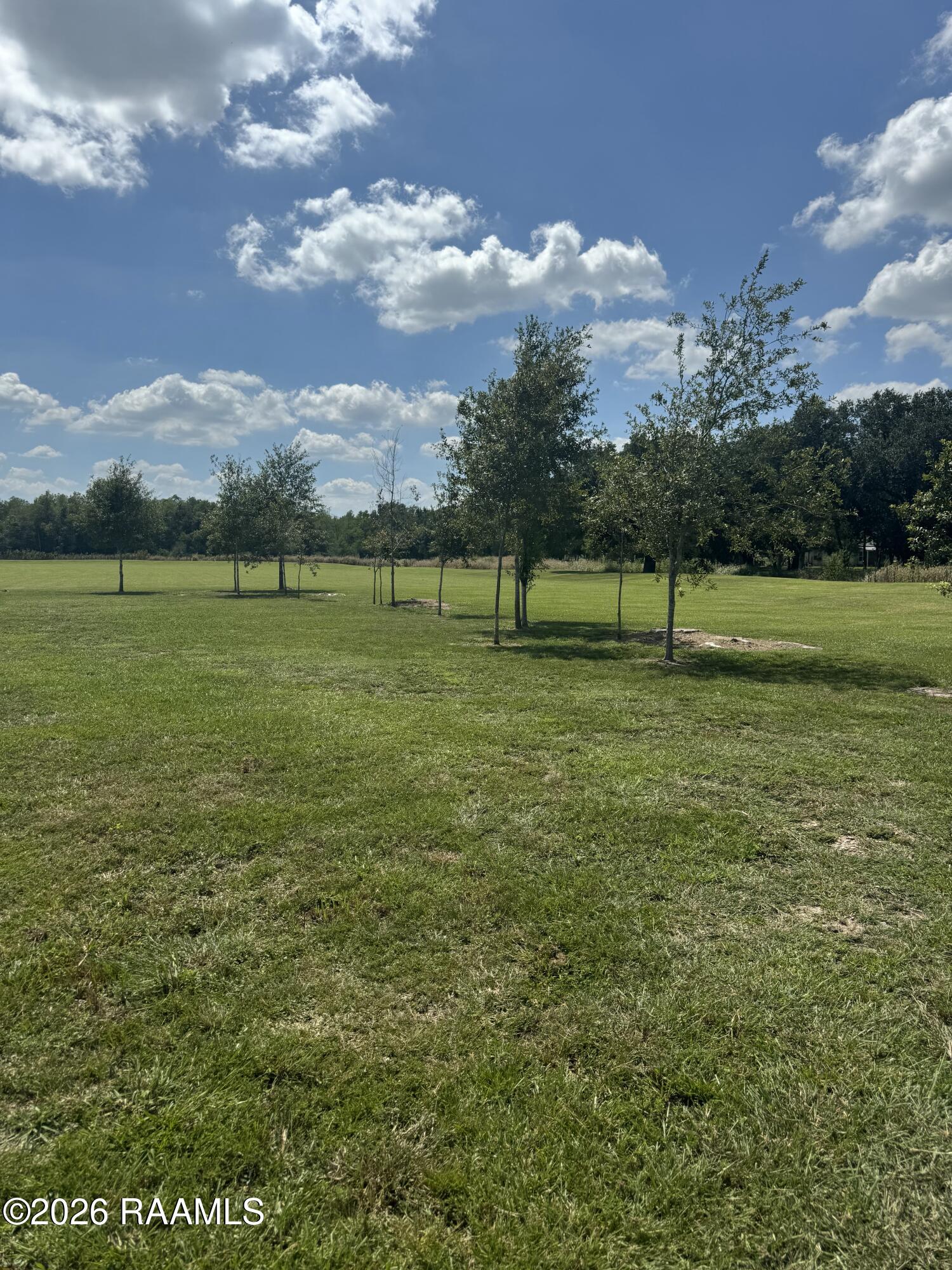 24913 Chestnut Road Kaplan, LA 70548 - Photo 5 of 14 IMG_2809