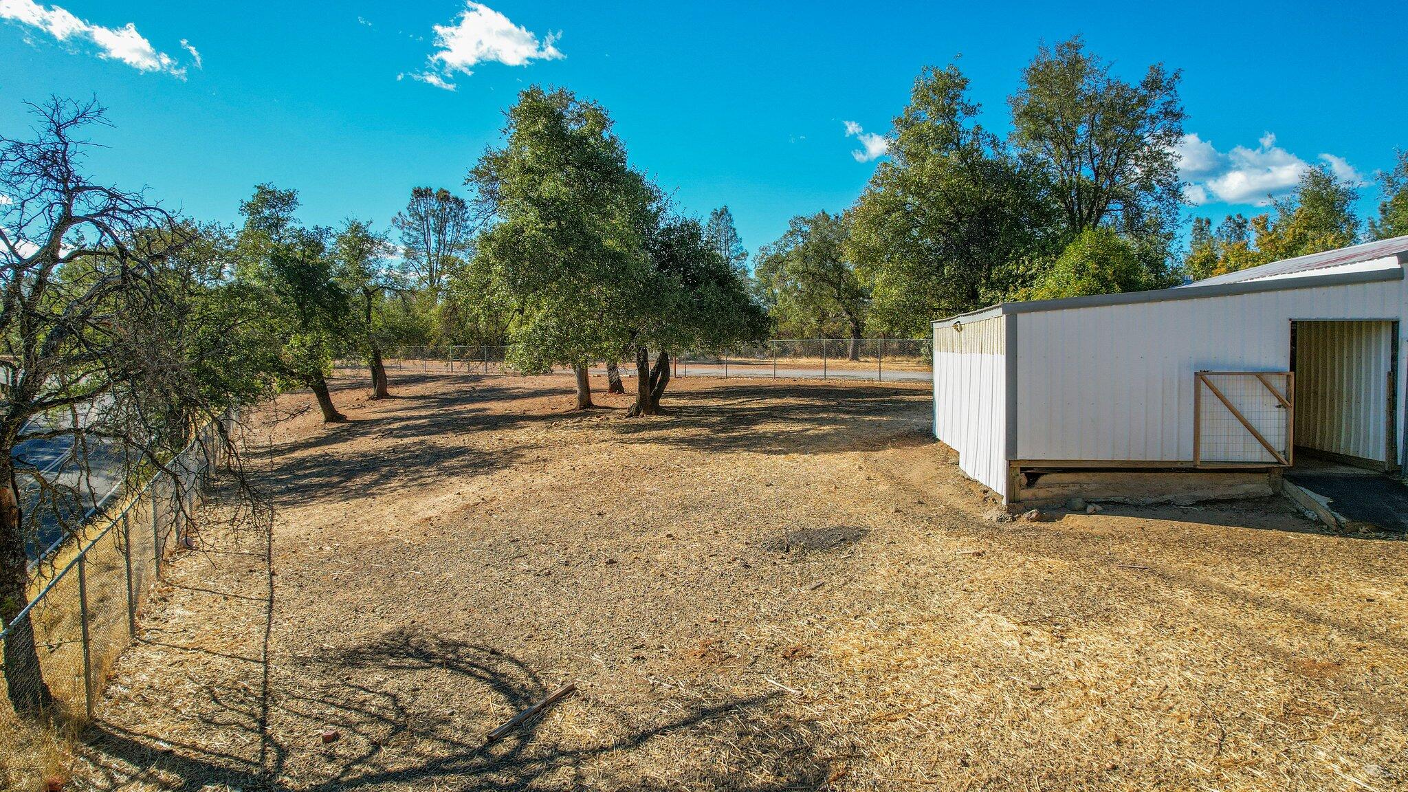 7440 Happy Valley Road Anderson, CA 96007 - Photo 54 of 55 Side Yard