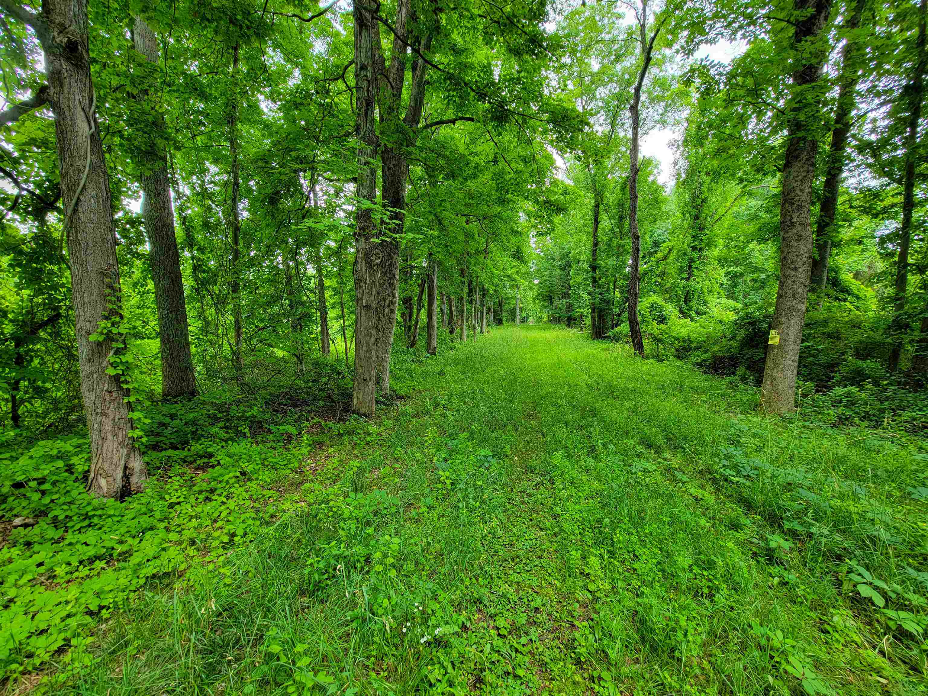 399 Bard Road Bennington, VT 05201 - Photo 27 of 60 Gallery Image 27