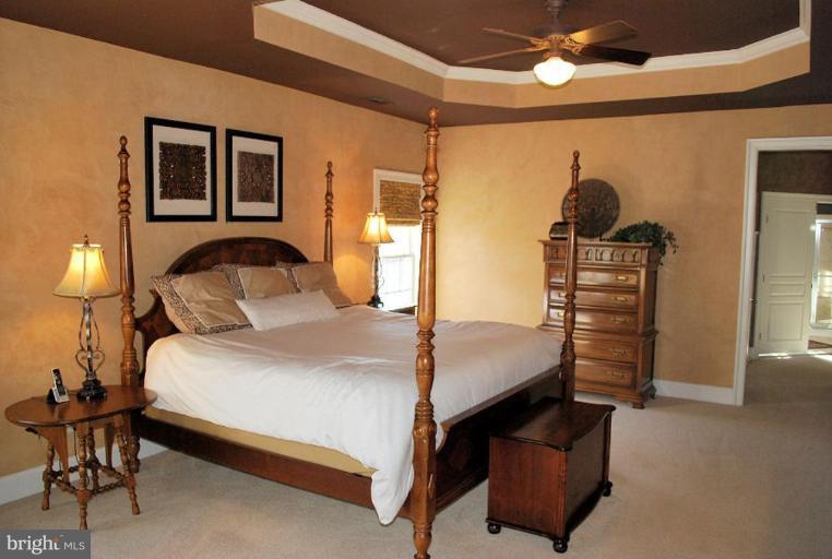 14259 Howard Road Glenelg, MD 21737 - Photo 14 of 30 Master Bedroom