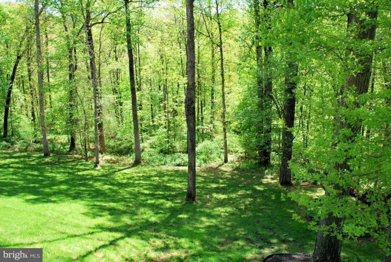 14259 Howard Road Glenelg, MD 21737 - Photo 3 of 30 Back yard