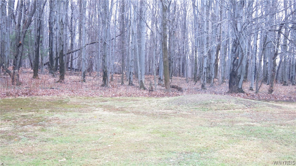 7582 Behm Road Orchard Park, NY 14170 - Photo 3 of 10 Back Yard View