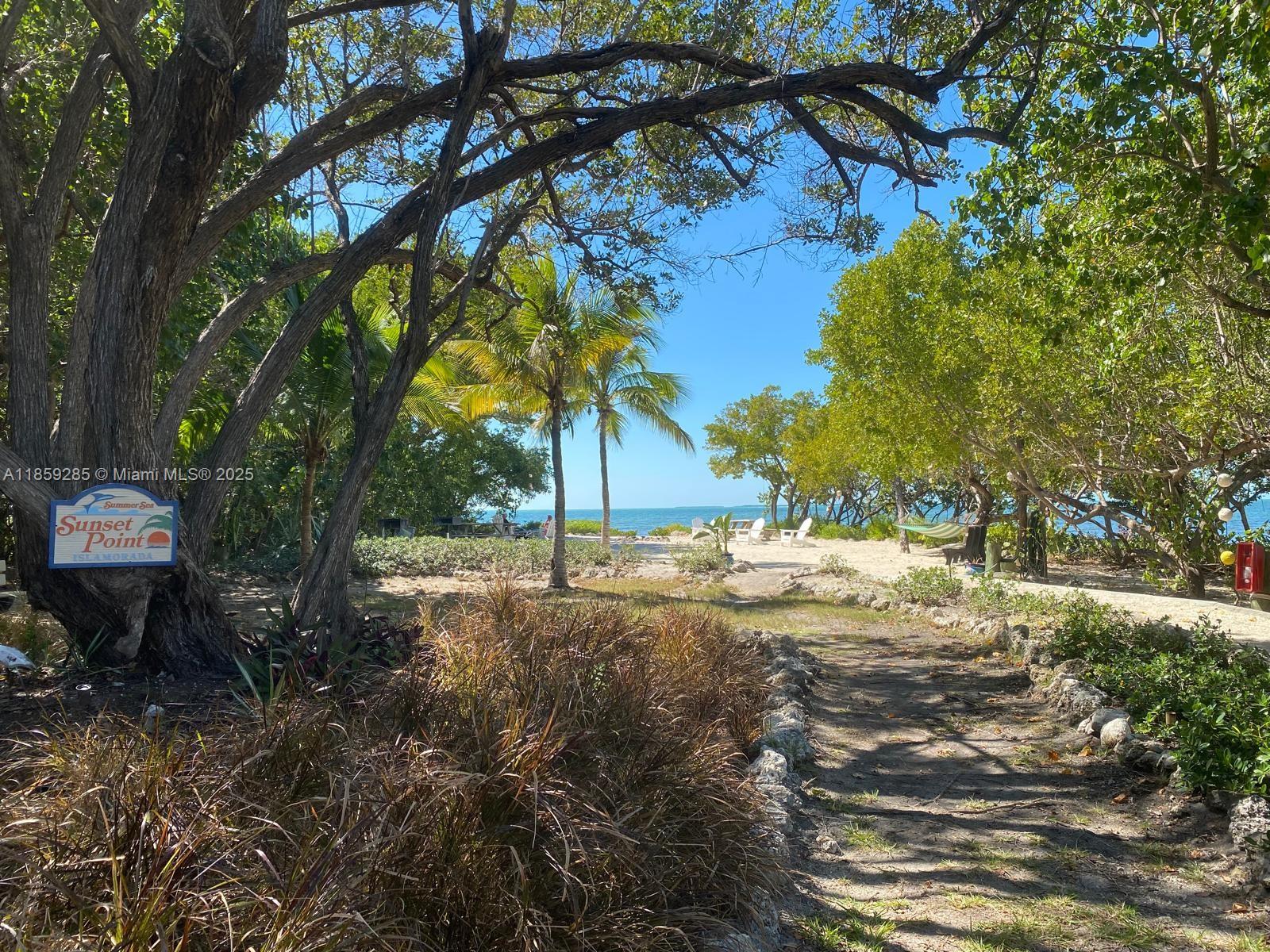 88500 Overseas Highway, Unit 301 Islamorada, FL 33036 - Photo 11 of 24 a view of a yard with plants and trees