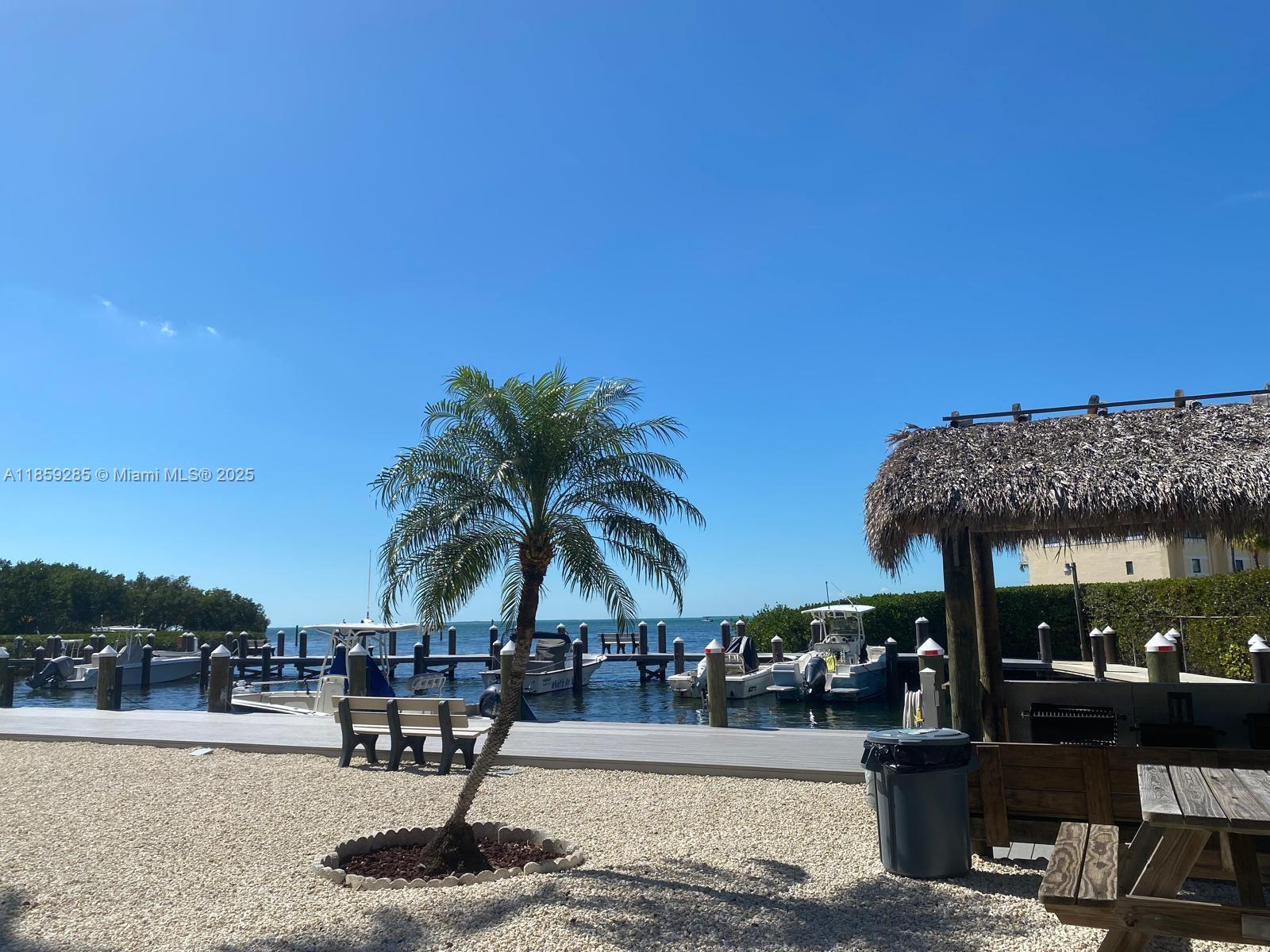 88500 Overseas Highway, Unit 301 Islamorada, FL 33036 - Photo 8 of 24 a palm tree sitting in front of a building with potted plants