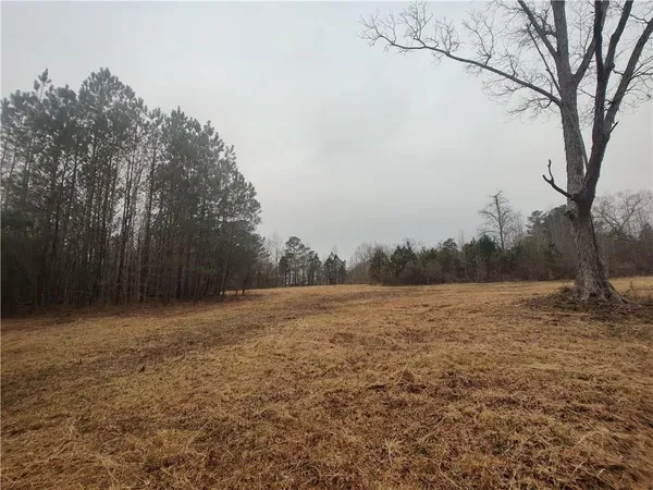 a view of dirt field with trees in background