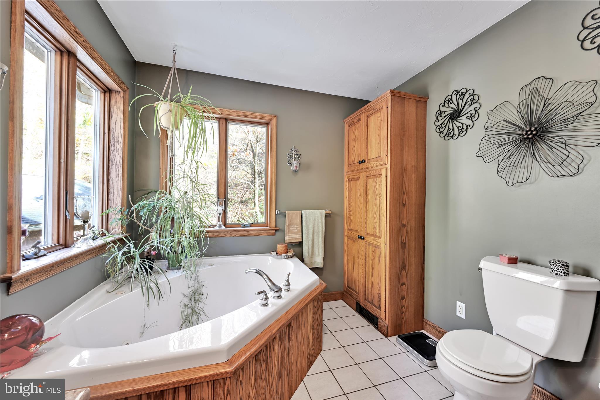 364 Michters Road Newmanstown, PA 17073 - Photo 27 of 56 a bath room with a toilet and a bath tub