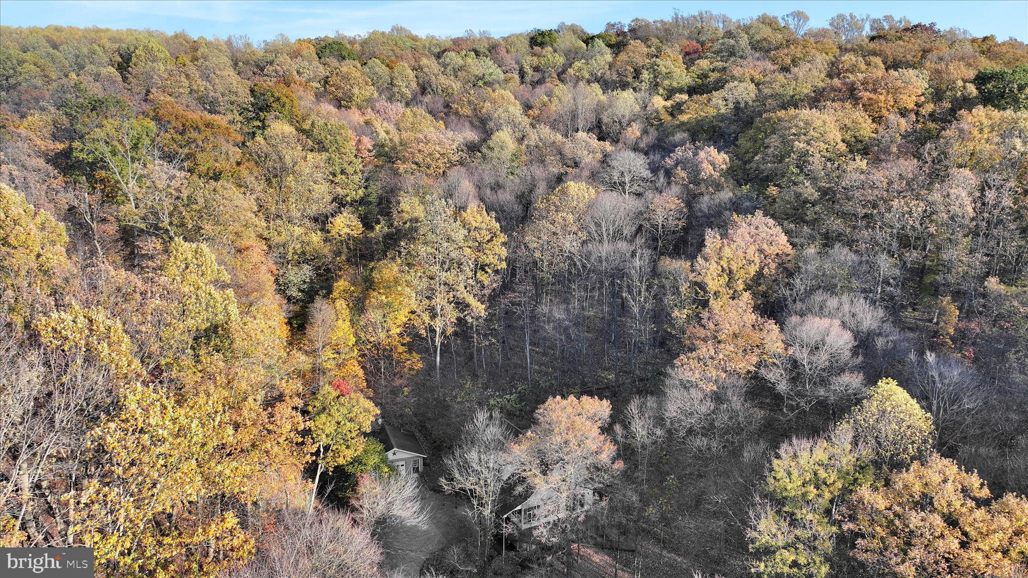 364 Michters Road Newmanstown, PA 17073 - Photo 3 of 56 a view of a covered with large trees