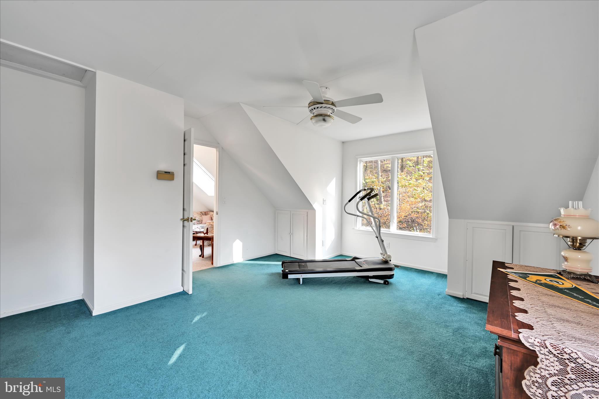 364 Michters Road Newmanstown, PA 17073 - Photo 32 of 56 a view of a room with gym equipment