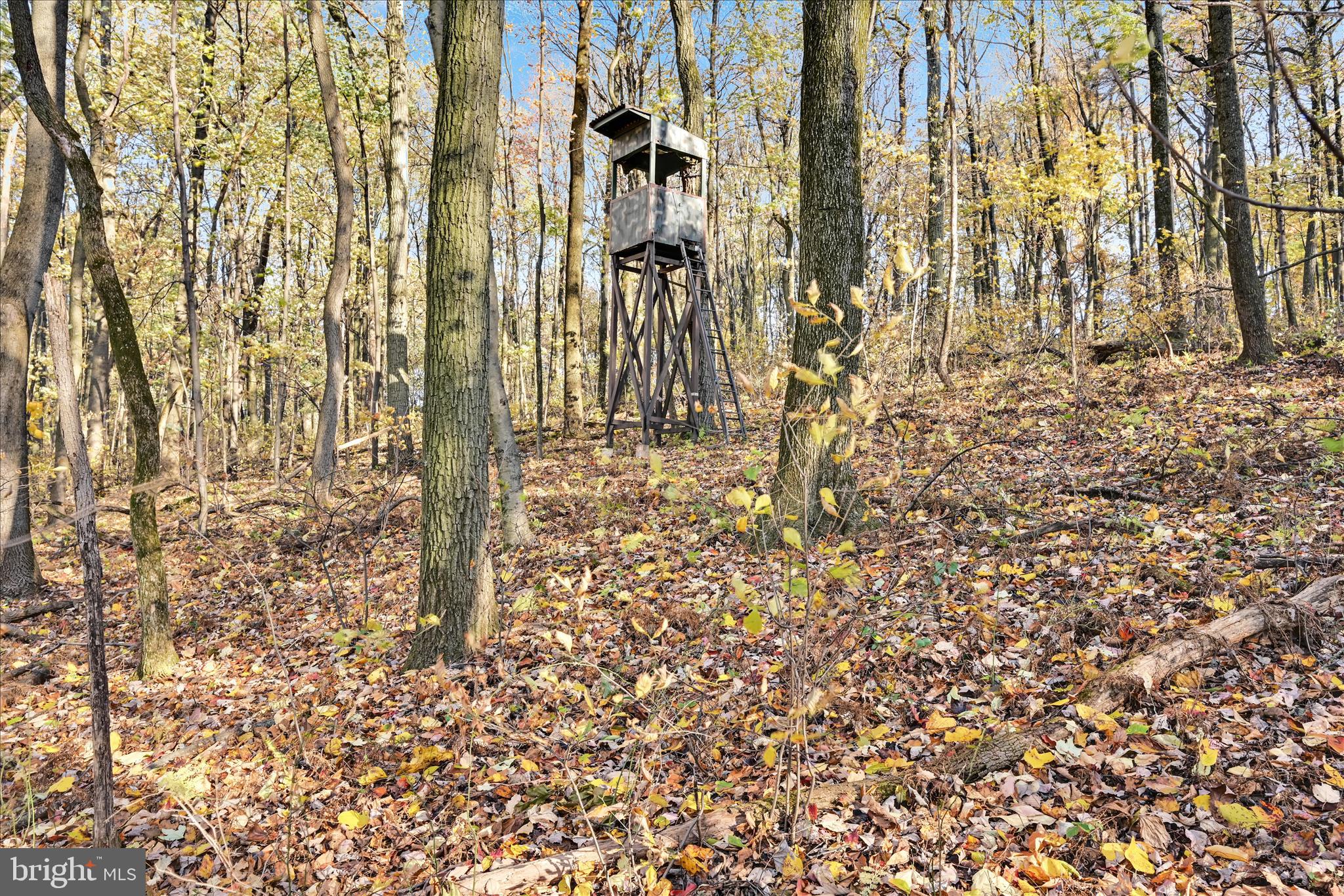 364 Michters Road Newmanstown, PA 17073 - Photo 53 of 56 Ground