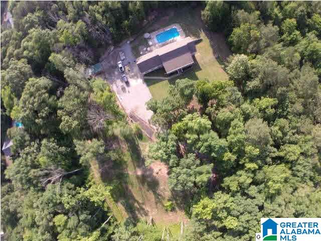 1639 Glenvale Road Jacksonville, AL 36265 - Photo 7 of 30