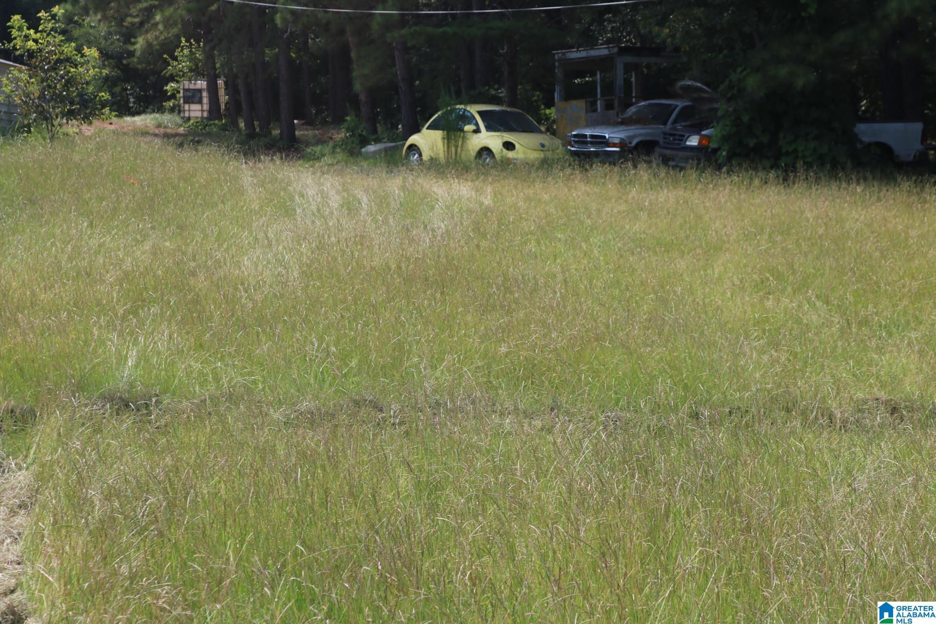 1920 Bruce Shaw Road Adger, AL 35006 - Photo 12 of 15