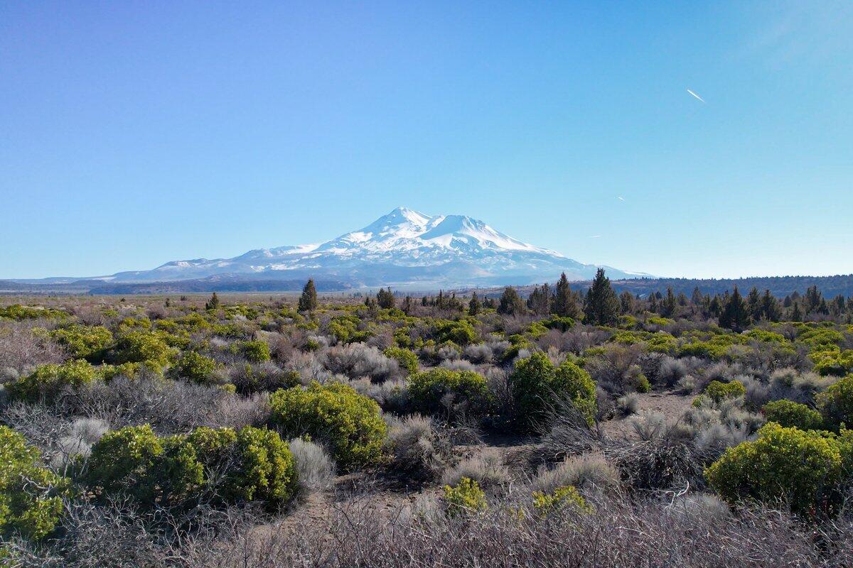 15617 Sherwood Road Weed, CA 96094 - Photo 3 of 58 Mount Shasta from Lake Shastina