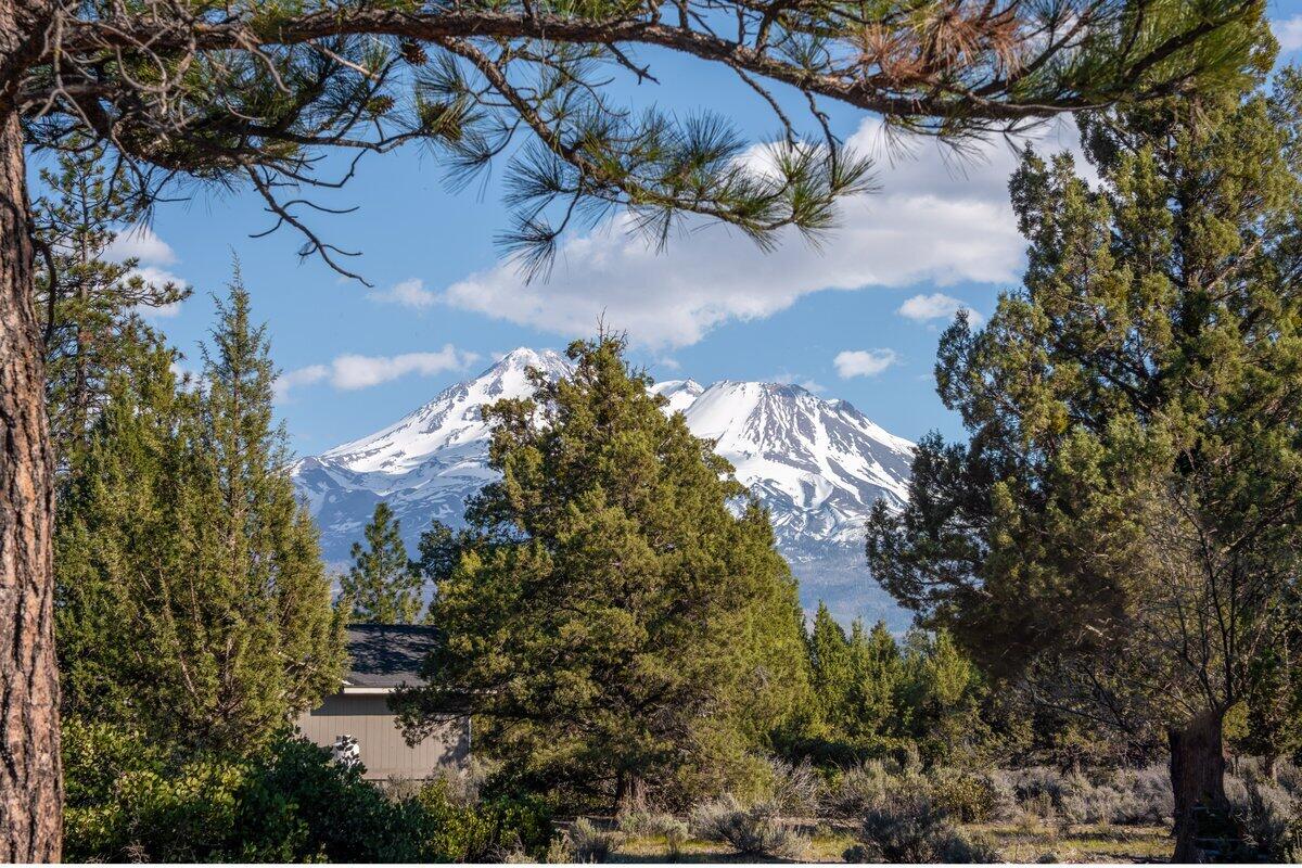 15617 Sherwood Road Weed, CA 96094 - Photo 4 of 58 Backyard Mountain Shot