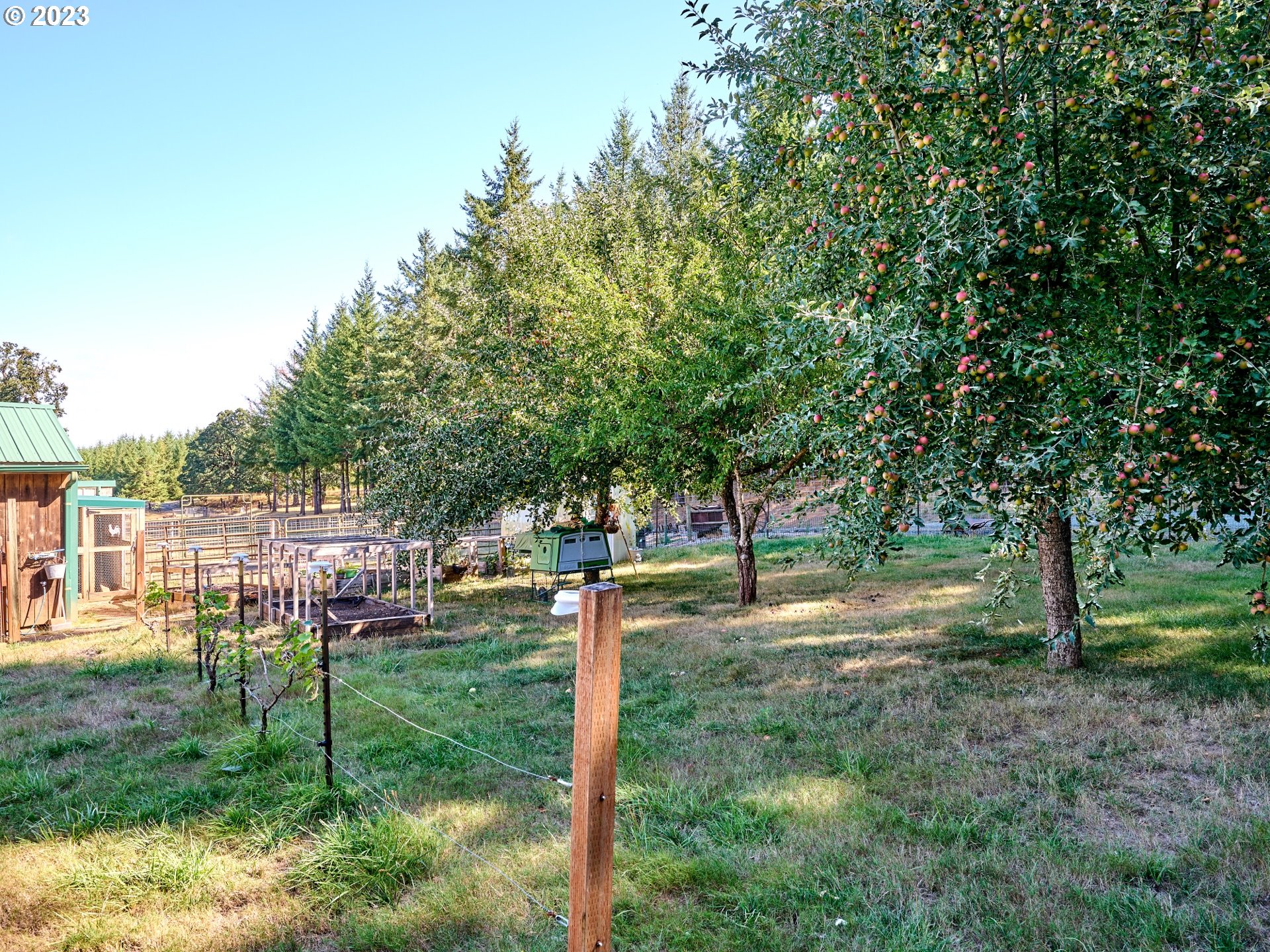 15360 May Road Dallas, OR 97338 - Photo 38 of 48 a view of a backyard with trees