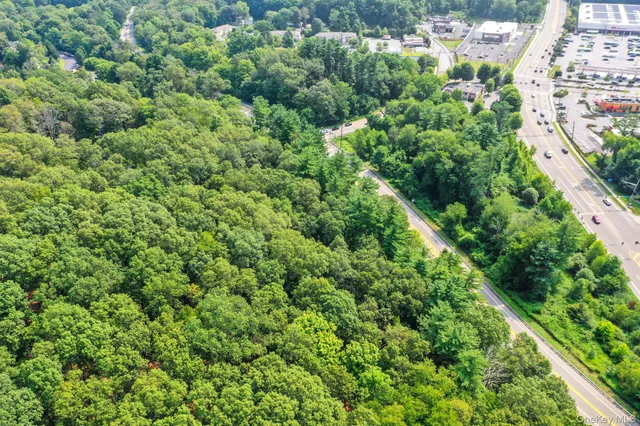 view of a city with lush green forest