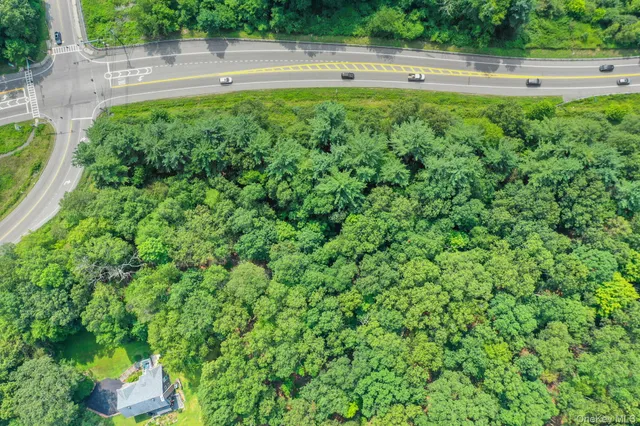 a view of a garden with a tree