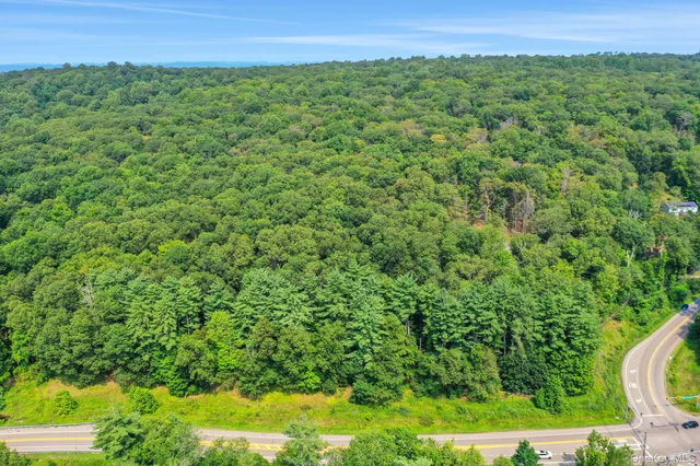 a view of a green field with lots of bushes