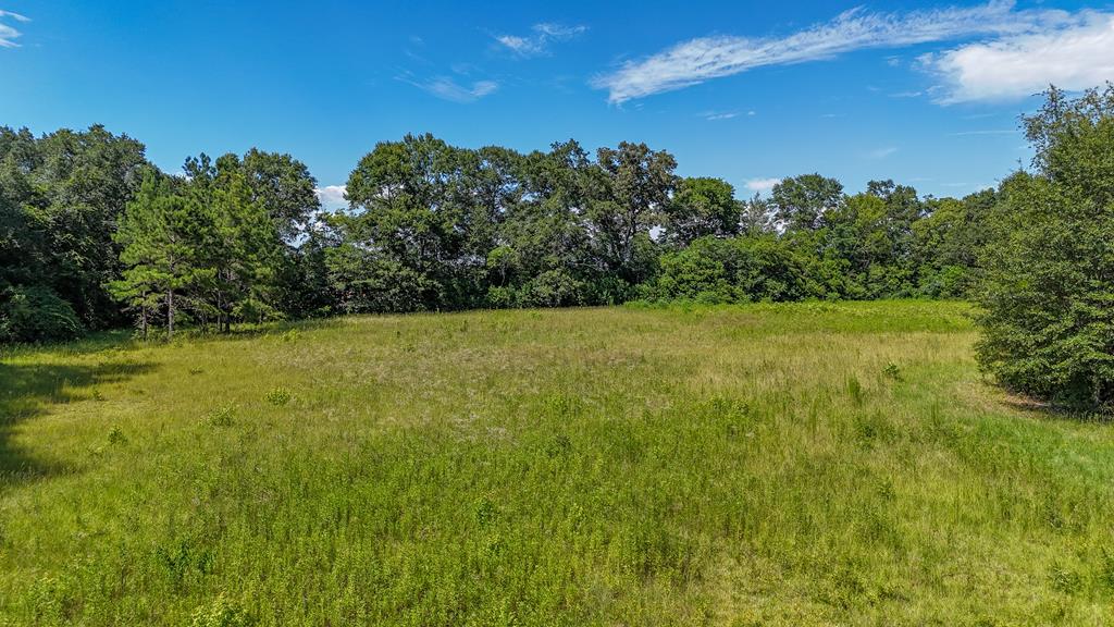 0 Main Street Headland, AL 36345 - Photo 1 of 12