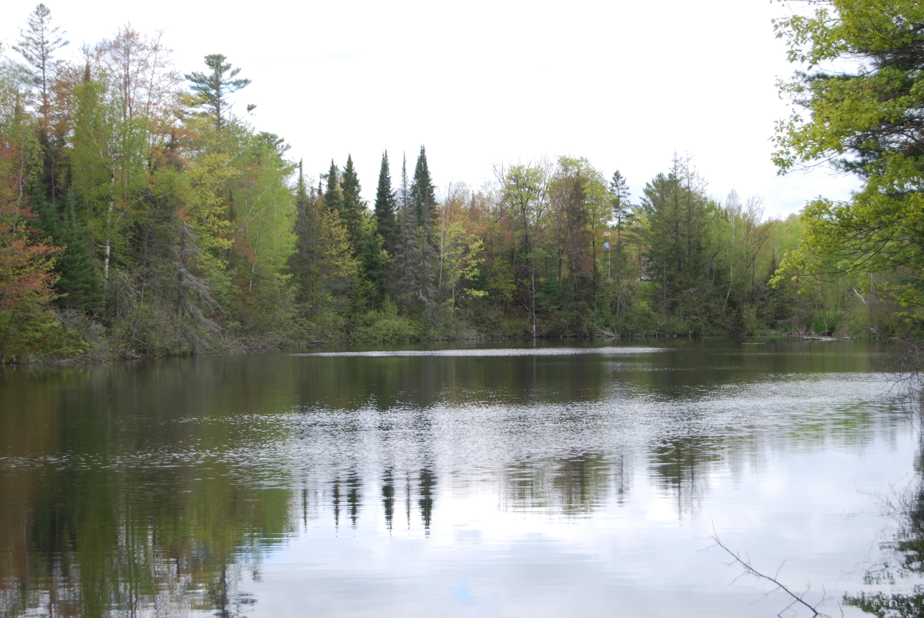 N11502 Nelson Road Athelstane, WI 54177 - Photo 62 of 77 Pond 3