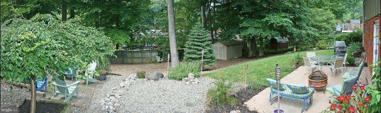 a view of a garden with plants and large trees