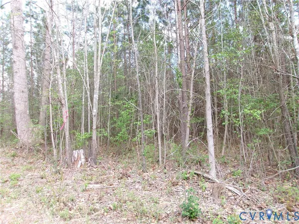 $134,900 | 69-6)-4 Snap Lodge Road, Dewitt, VA 23840