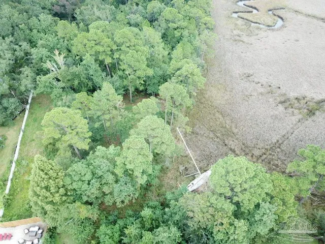 a view of a lush green forest with lots of trees