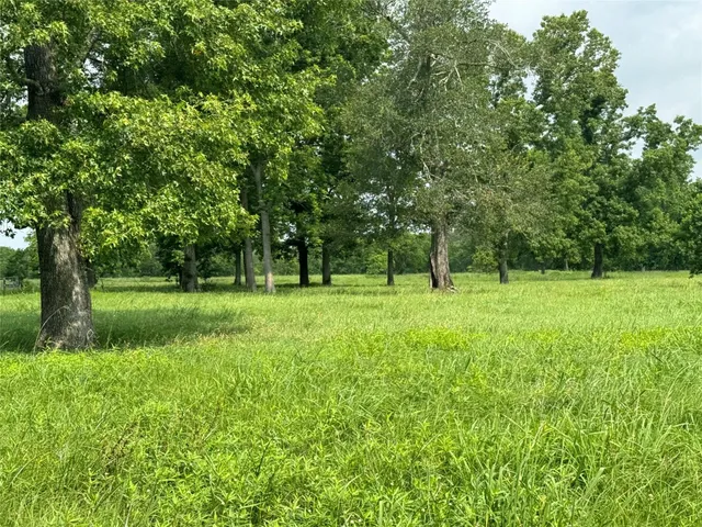 a view of green field