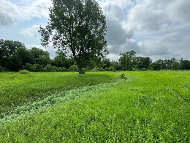 a view of a grassy field with trees around