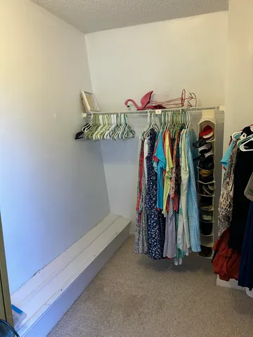 a view of walk in closet with clothes