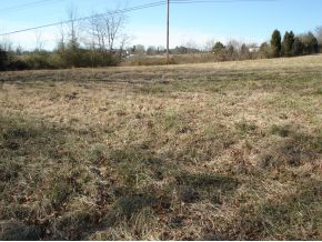 0 Brown Springs Road, Unit 11 Greeneville, TN 37743 - Photo 1 of 1 Photo 1