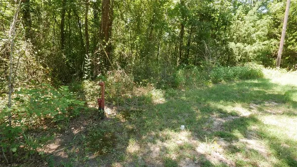 a view of a book shelf