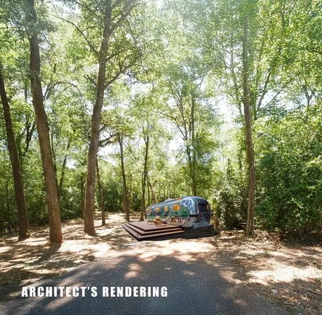 a view of a street with a tree