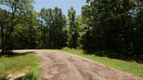 a view of an outdoor space and a yard