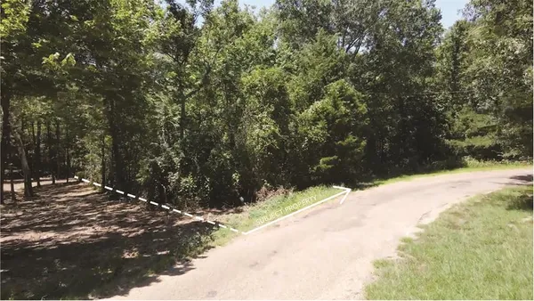 a view of a yard with plants and trees