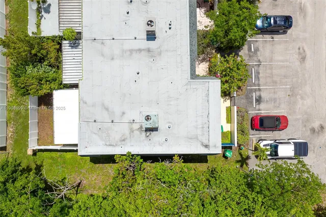 a view of a bunch of flowers and flowers