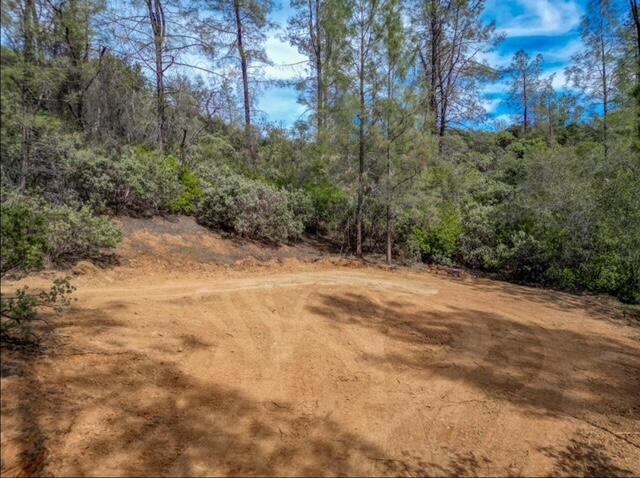 0 Quail Run Road Redding, CA 96003 - Photo 5 of 14 IMG_2873