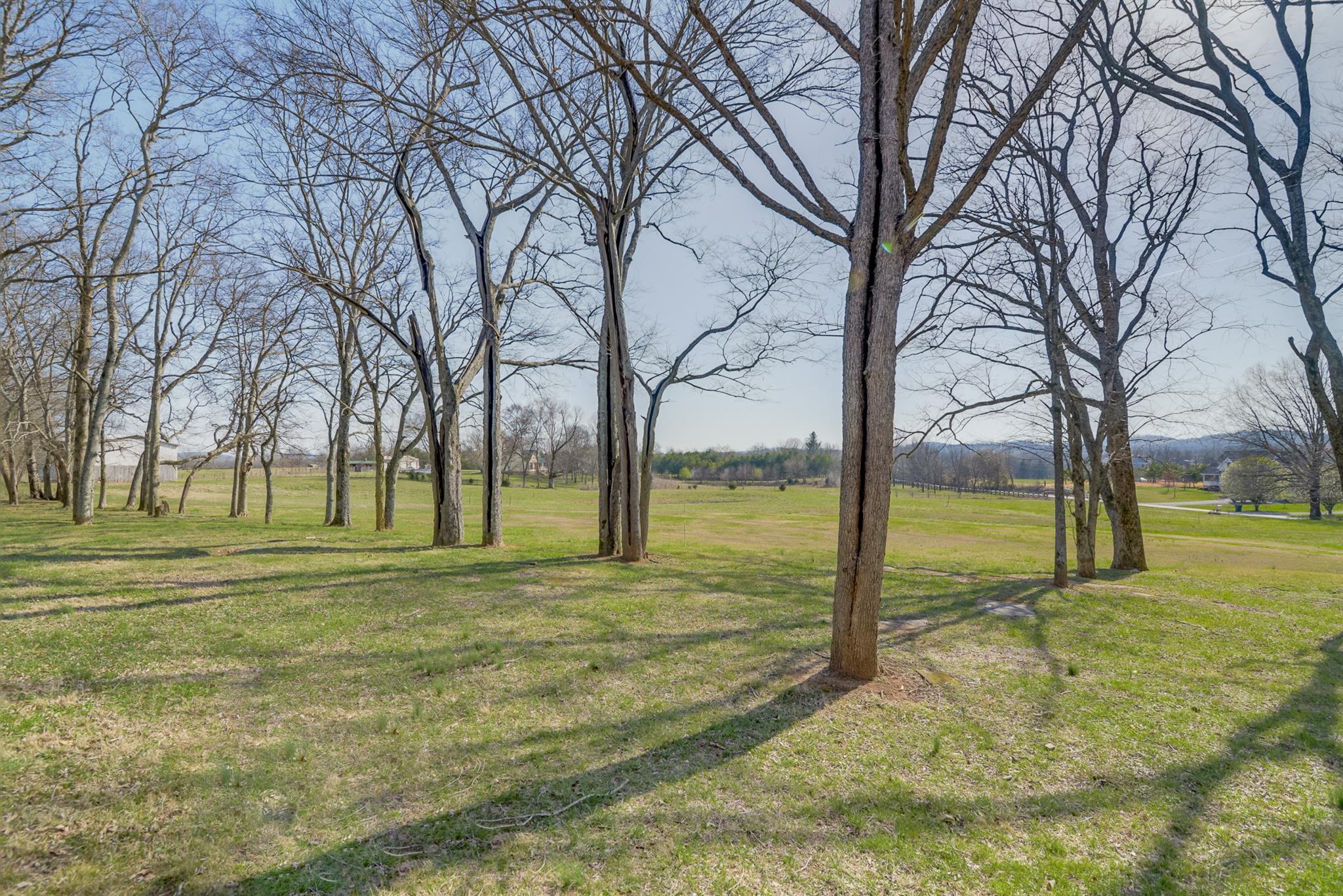 320 Goshen Road Lebanon, TN 37087 - Photo 28 of 28 a view of a trees with a house