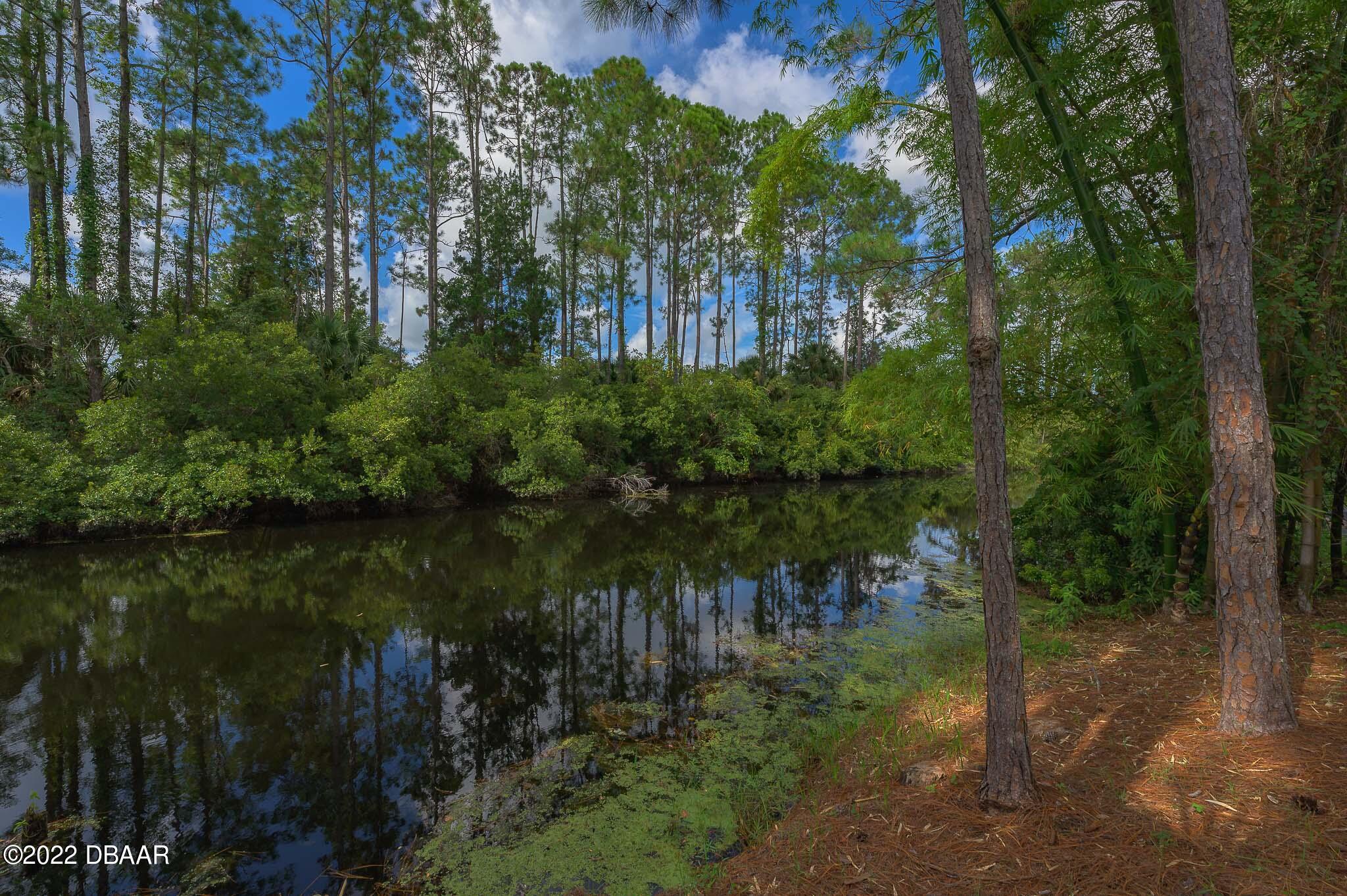 30 Raleigh Drive Palm Coast, FL 32164 - Photo 8 of 47 hif386.com-8