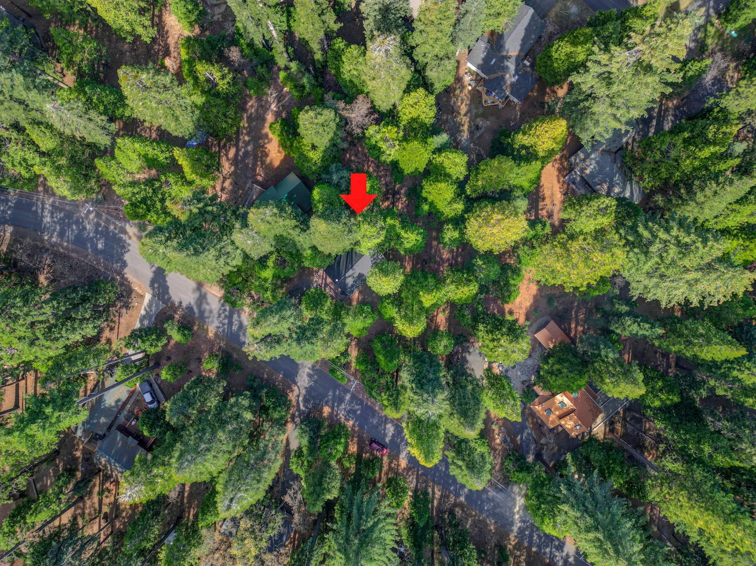 2483 Karock Road Dorrington, CA 95223 - Photo 37 of 42