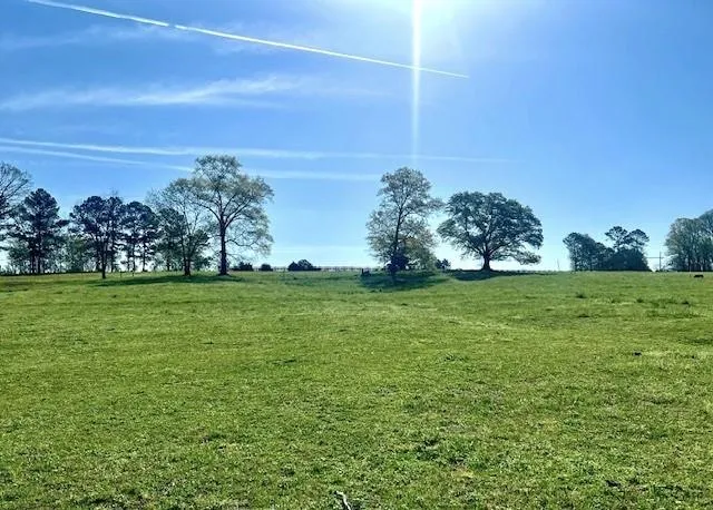 a view of yard with an trees