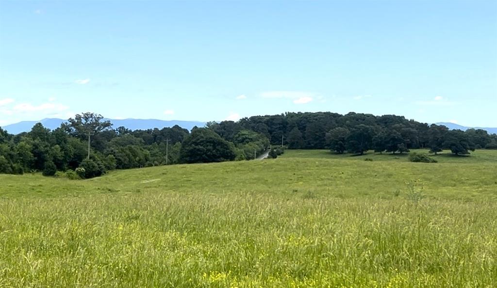 Lot 4 Hunts Gin Road Calhoun, GA 30701 - Photo 13 of 16 a view of an outdoor space and a yard