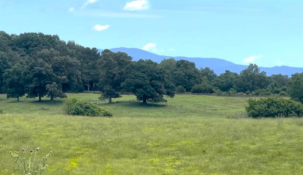 Lot 4 Hunts Gin Road Calhoun, GA 30701 - Photo 14 of 16 a view of outdoor space and yard