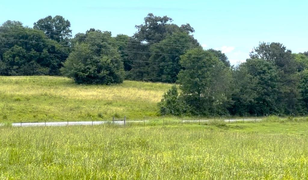 Lot 4 Hunts Gin Road Calhoun, GA 30701 - Photo 15 of 16