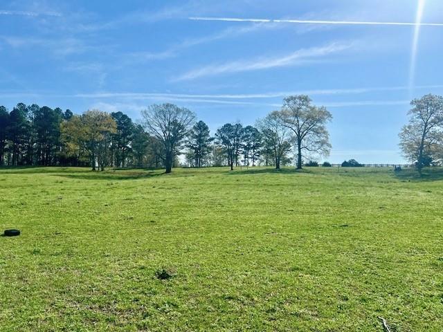 Lot 4 Hunts Gin Road Calhoun, GA 30701 - Photo 16 of 16 a view of a field with an ocean