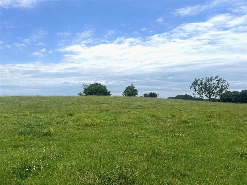 Lot 4 Hunts Gin Road Calhoun, GA 30701 - Photo 2 of 16