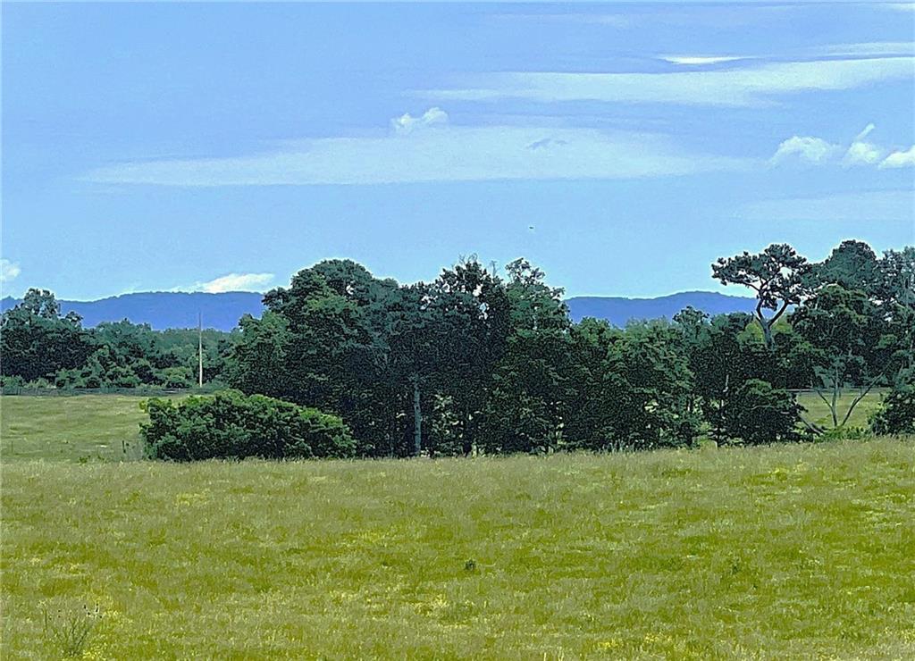 Lot 4 Hunts Gin Road Calhoun, GA 30701 - Photo 3 of 16 a view of a yard with an ocean