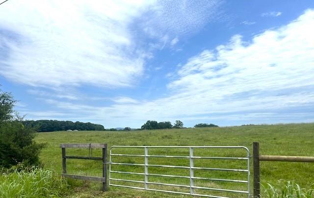 Lot 4 Hunts Gin Road Calhoun, GA 30701 - Photo 4 of 16 a view of a field with front of house