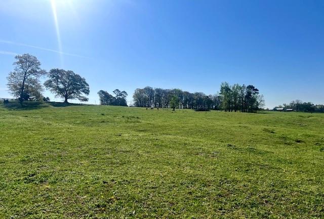 Lot 4 Hunts Gin Road Calhoun, GA 30701 - Photo 8 of 16 a view of a field with an outdoor space