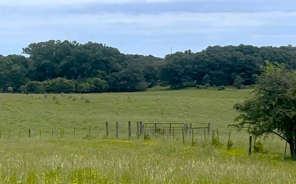 Lot 4 Hunts Gin Road Calhoun, GA 30701 - Photo 10 of 16 a view of a lake view